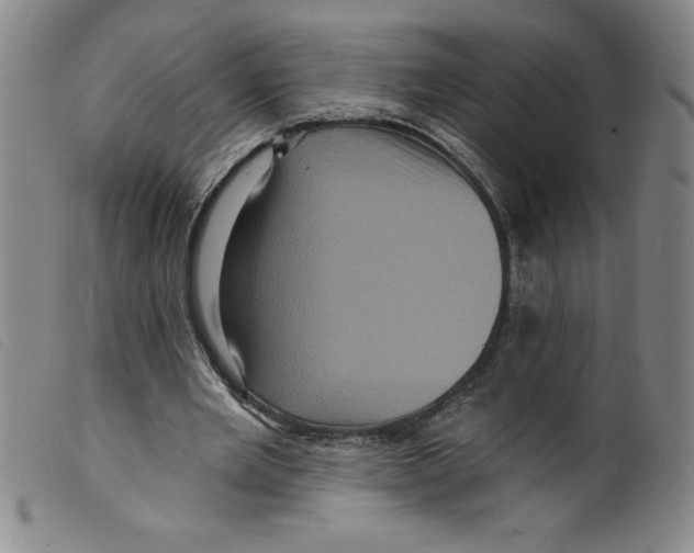 X0000098200485200805221545