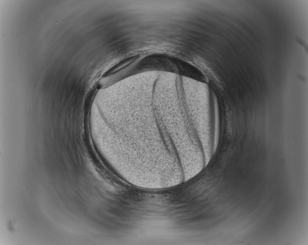 X0000098200486200805221545