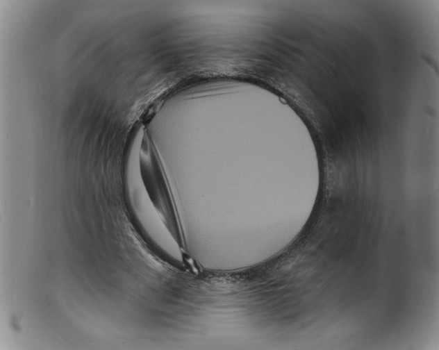 X0000098200489200805221545