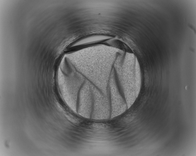 X0000098200490200805221545