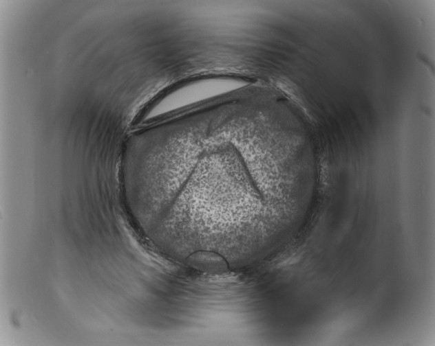 X0000098200491200805221545