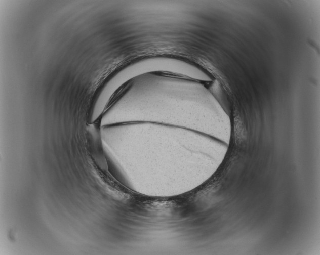 X0000098200493200805221545