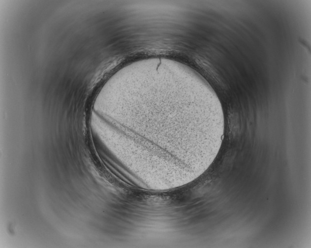 X0000098200494200805221545