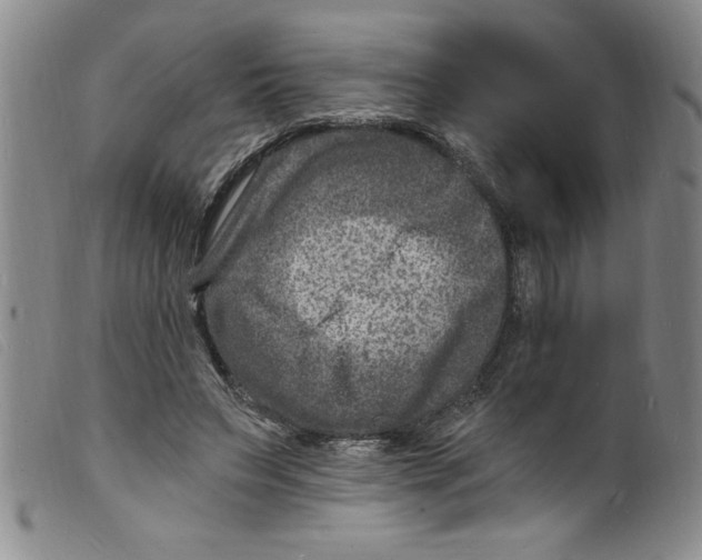 X0000098200495200805221545