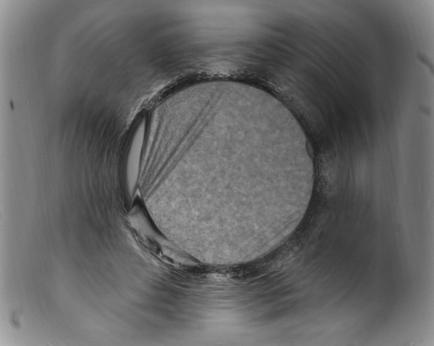 X0000098200496200805221545