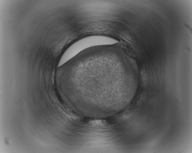X0000098200499200805221545