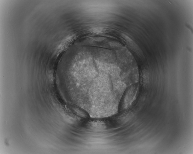 X0000098200500200805221545