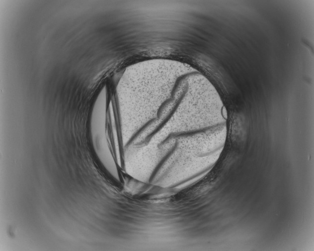 X0000098200501200805221545