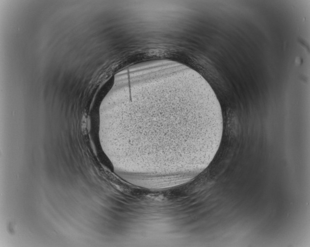 X0000098200502200805221545
