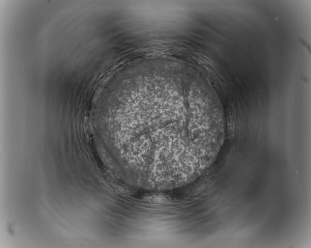 X0000098200503200805221545