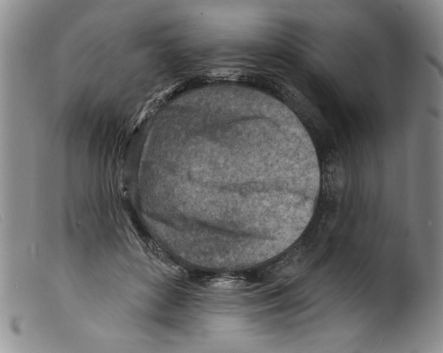 X0000098200504200805221545