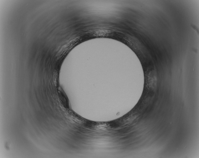 X0000098200505200805221545
