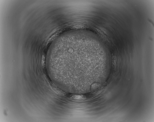 X0000098200507200805221545