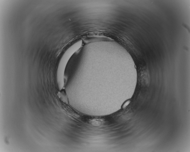 X0000098200508200805221545