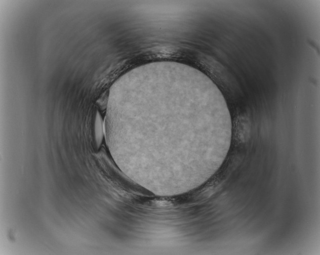 X0000098200509200805221545