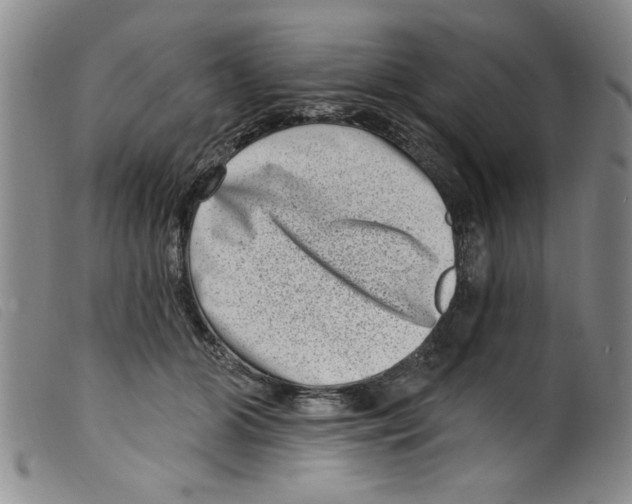 X0000098200510200805221544