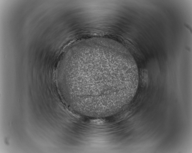 X0000098200511200805221544