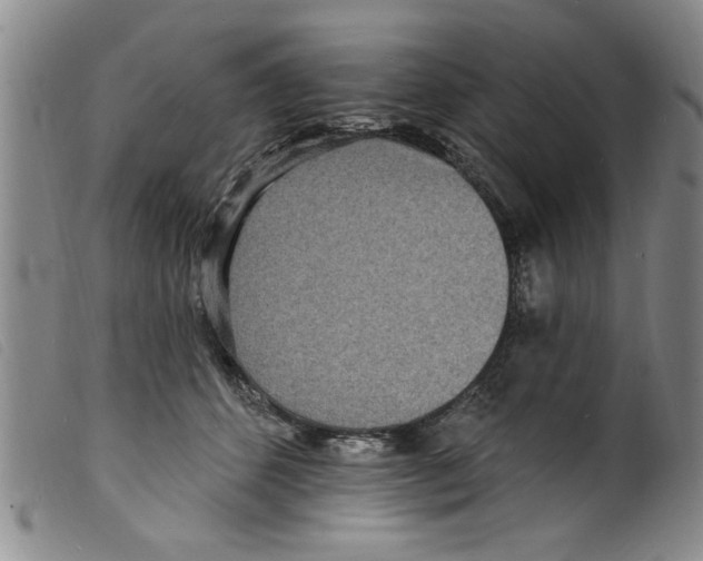 X0000098200512200805221544