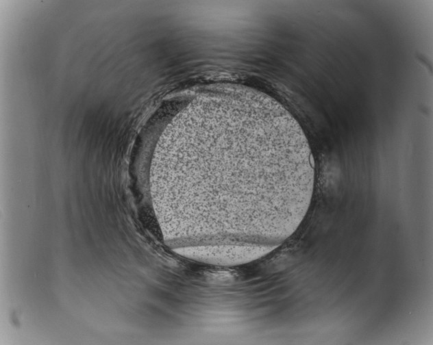 X0000098200513200805221544