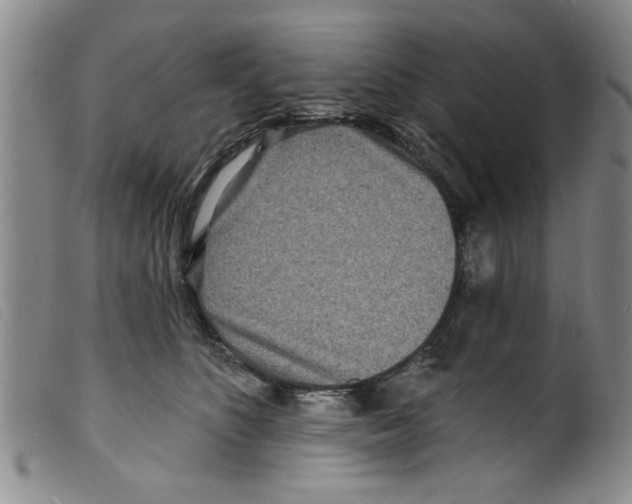 X0000098200516200805221544