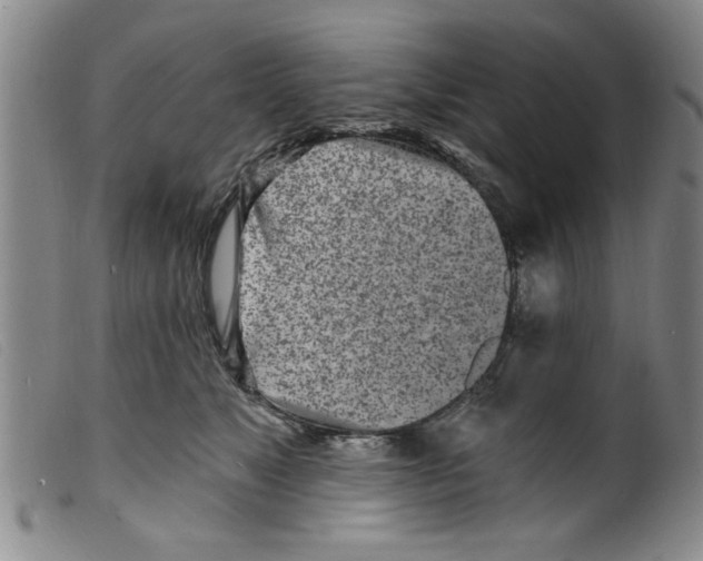 X0000098200517200805221544