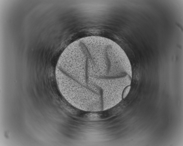 X0000098200518200805221544