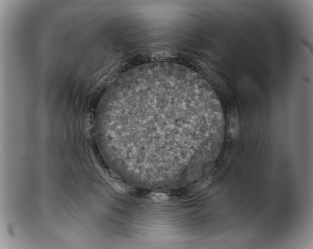 X0000098200519200805221544