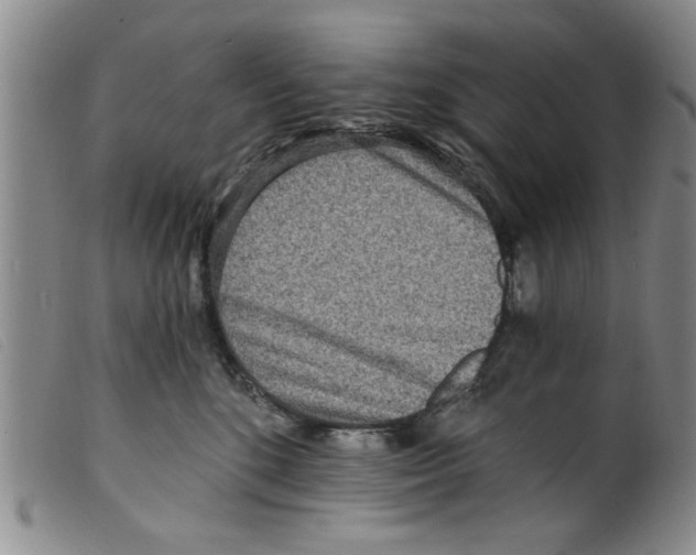 X0000098200520200805221544