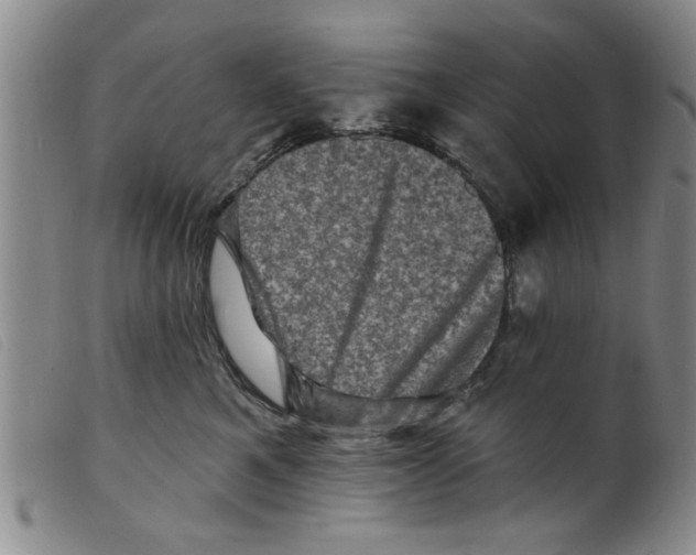 X0000098200521200805221544