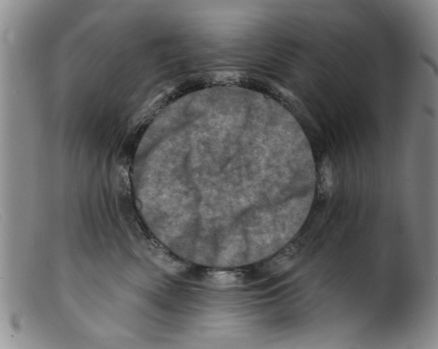 X0000098200522200805221544