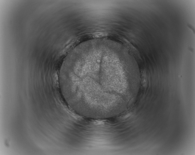 X0000098200523200805221544
