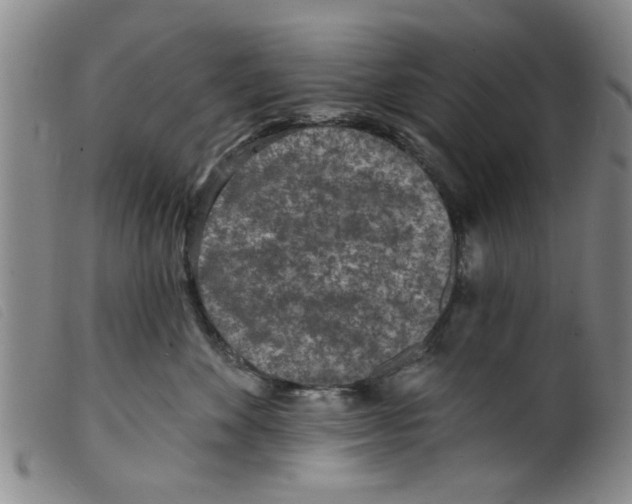 X0000098200524200805221544