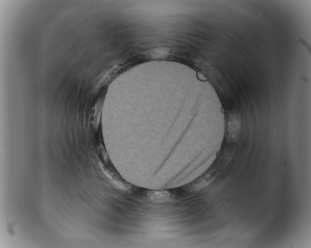 X0000098200525200805221544