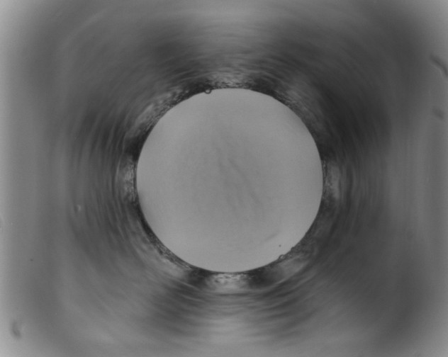 X0000098200526200805221544