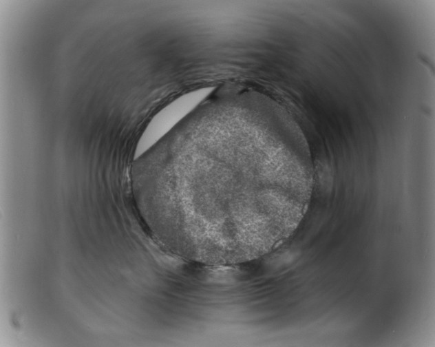 X0000098200527200805221544