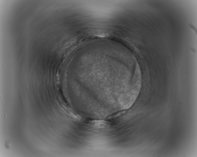 X0000098200528200805221544