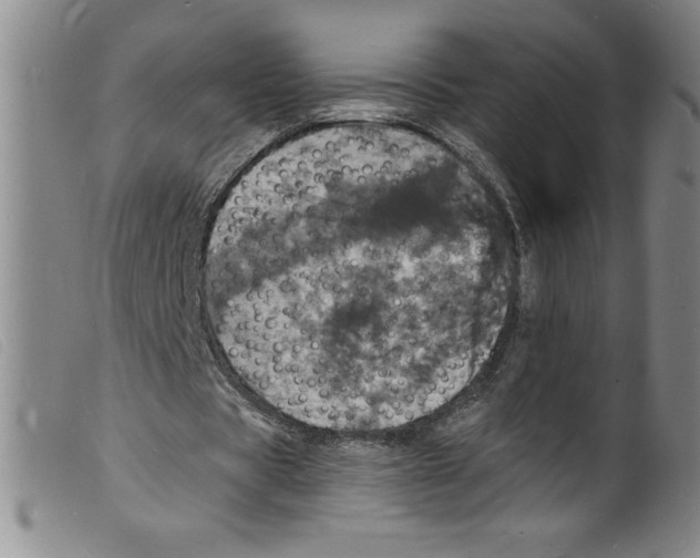 X0000098200529200805221544