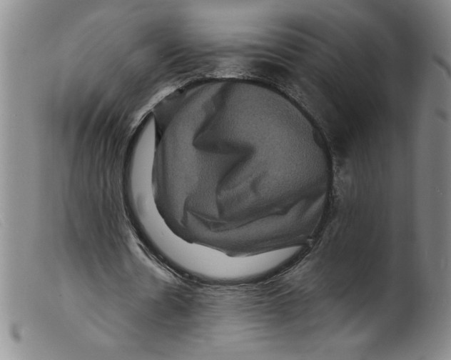 X0000098200530200805221544