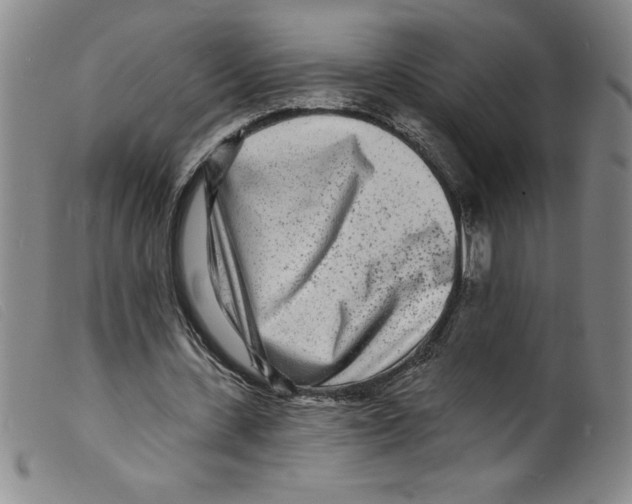 X0000098200531200805221544