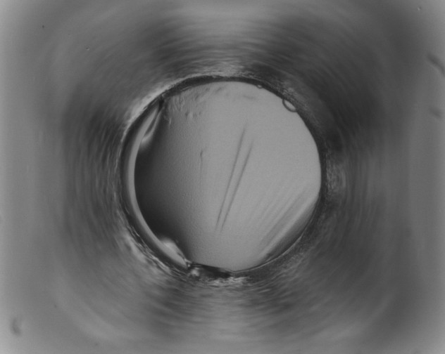 X0000098200532200805221544
