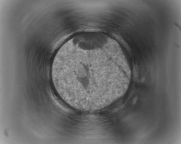 X0000098200533200805221544