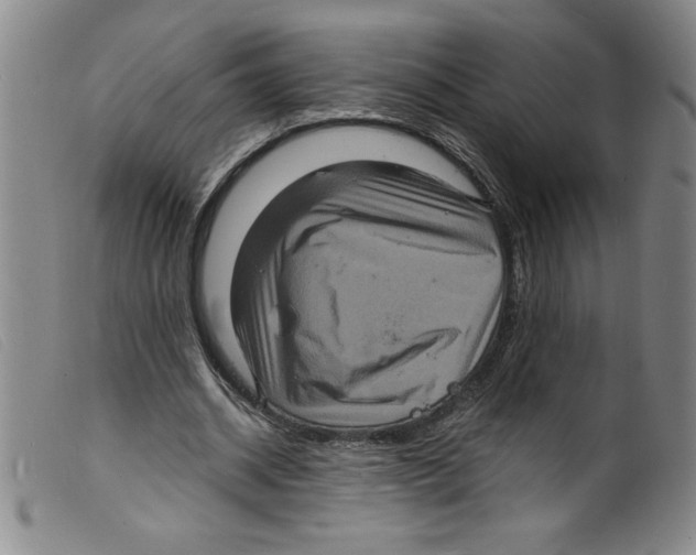 X0000098200534200805221544