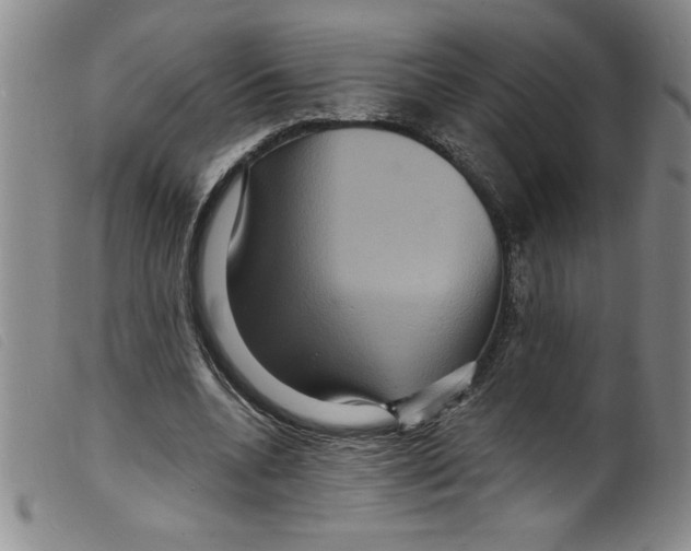 X0000098200536200805221544
