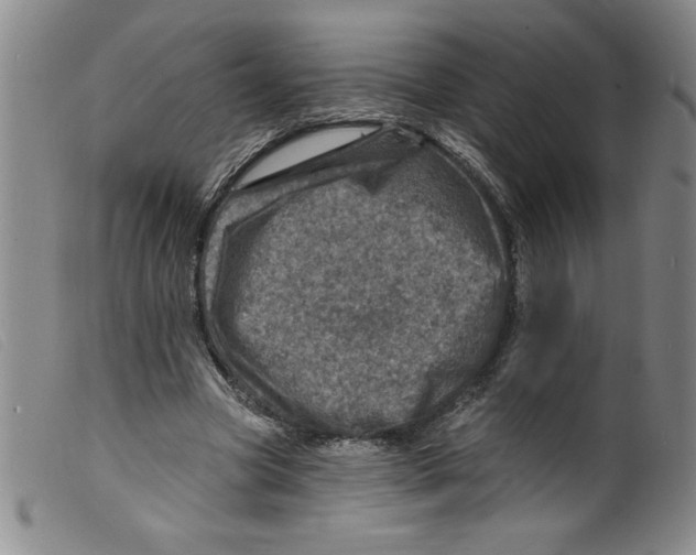 X0000098200537200805221544
