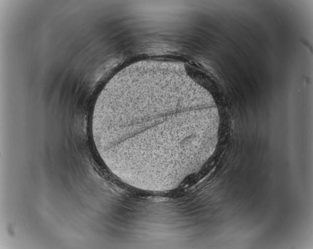 X0000098200539200805221544