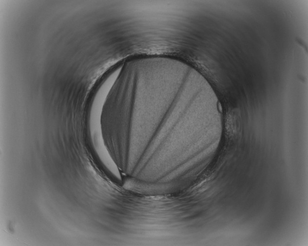 X0000098200540200805221544