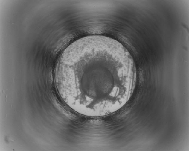 X0000098200541200805221544