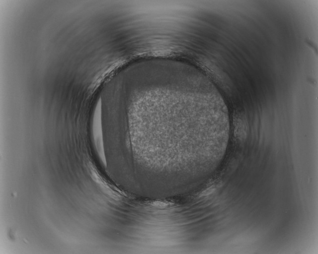 X0000098200542200805221544