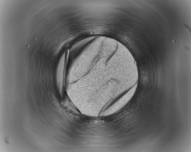 X0000098200543200805221544