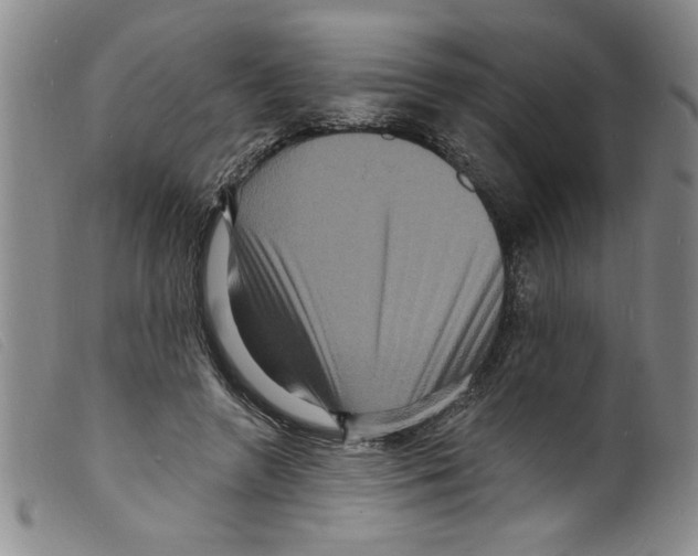 X0000098200546200805221544